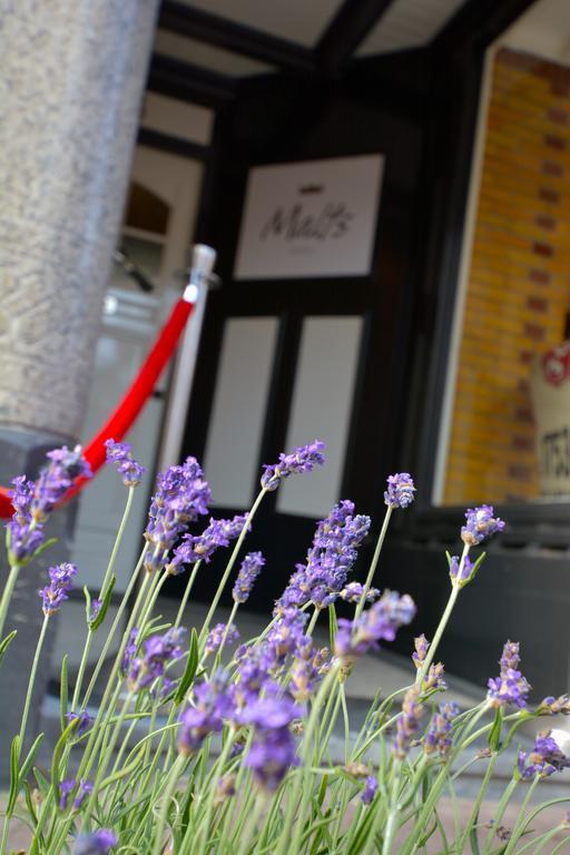 Bed & Breakfast Hotel Malts Haarlem Ngoại thất bức ảnh